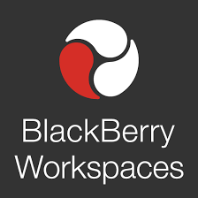 blackberry workspaces logo